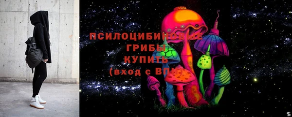 mdpv Каменск-Шахтинский