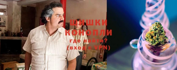 ПСИЛОЦИБИНОВЫЕ ГРИБЫ Каменка