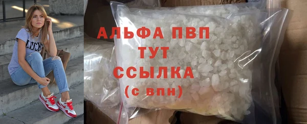 прущие грибы Карталы