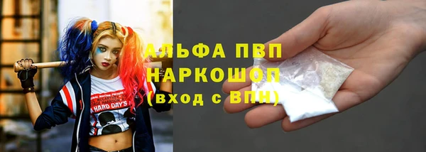 ПСИЛОЦИБИНОВЫЕ ГРИБЫ Каменка