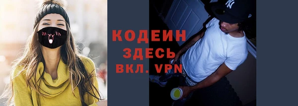 ПСИЛОЦИБИНОВЫЕ ГРИБЫ Каменка