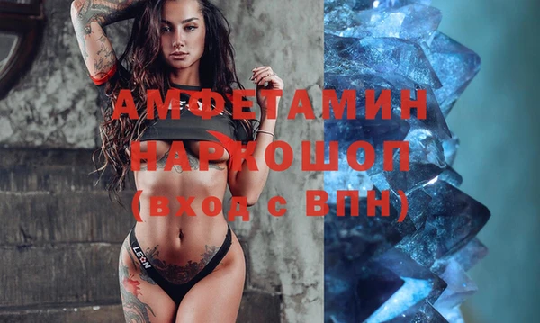 ПСИЛОЦИБИНОВЫЕ ГРИБЫ Каменка