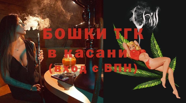 ПСИЛОЦИБИНОВЫЕ ГРИБЫ Каменка