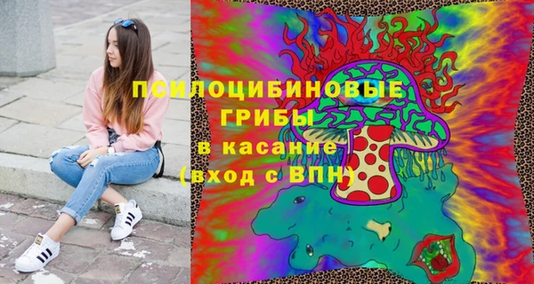 mdpv Каменск-Шахтинский