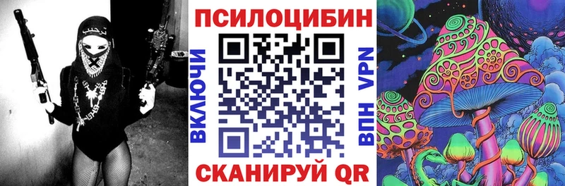 Купить закладки  Александров  Псилоцибиновые грибы GOLDEN TEACHER 